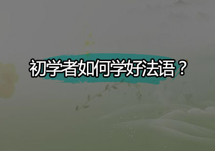 零基础法语学习指南：系统掌握语言技能的五大路径