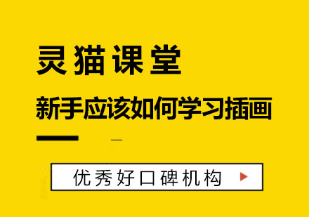 零基础插画学习指南：从入门到全解析