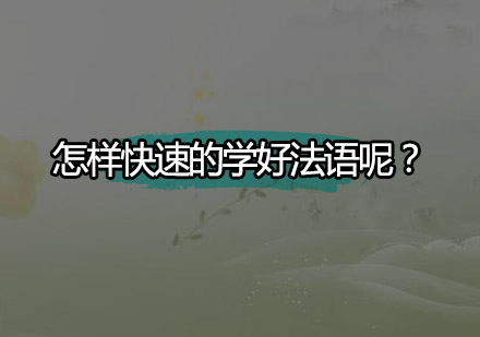 快速掌握法语的科学方法与实战技巧