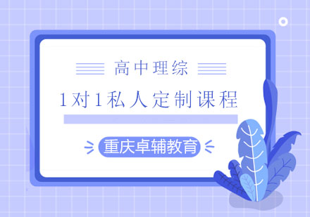 高中理综1对1私人定制课程