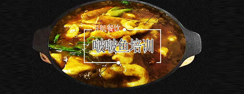 啵啵鱼教学实拍