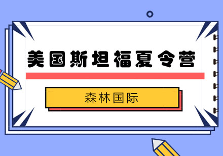 斯坦福精英科研项目深度解析