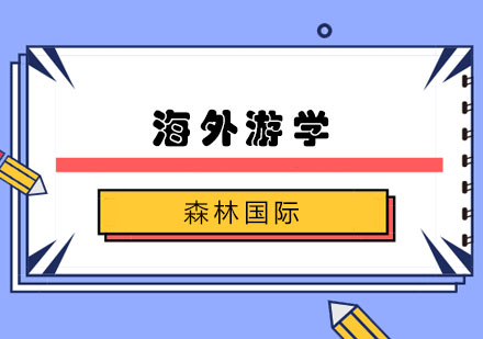 深度解析海外游学核心价值与成长收获