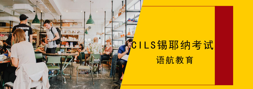CILS考试证书样本