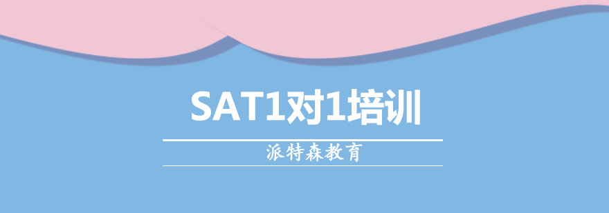 沈阳SAT1对1培训