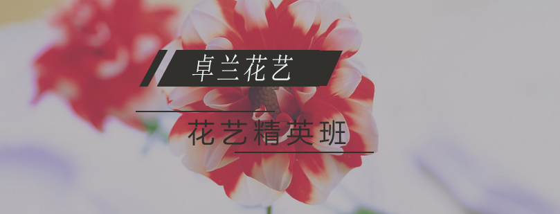花艺课程实践教学