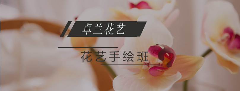 花艺手绘教学现场