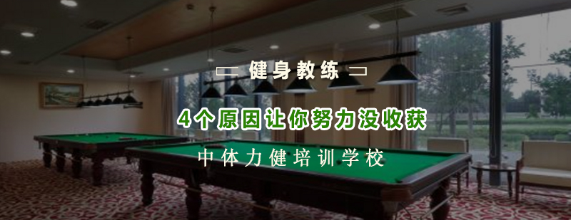 专业健身训练指导