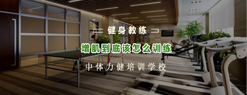 中体力健健身教练培训现场