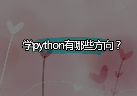 Python职业发展路径全解析