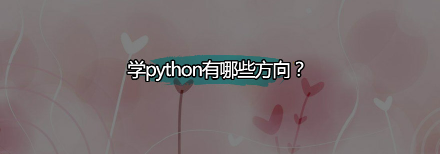 学python有哪些方向