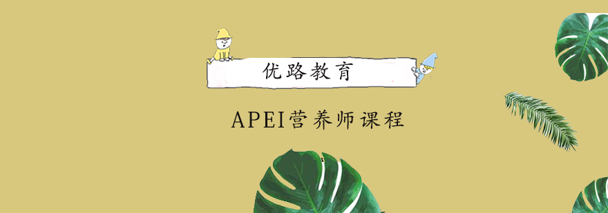 优路教育APEI课程