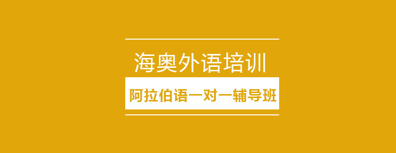 哈尔滨阿拉伯语专业辅导