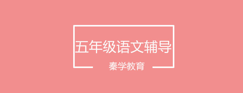 语文辅导课堂实景