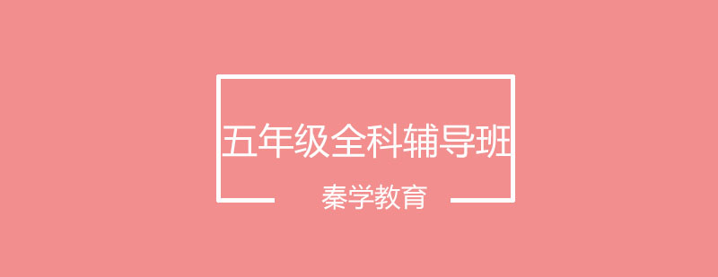 五年级学生课堂实拍