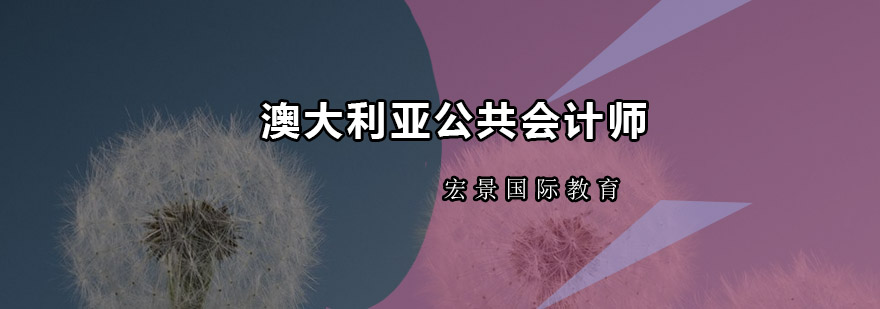 IPA会计师认证体系