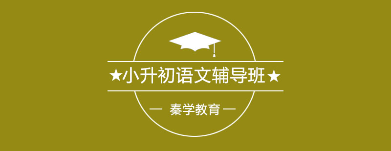 小升初语文特训课程