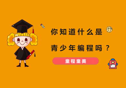青少年编程教育深度解读与未来展望
