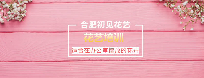 办公绿植布置示例
