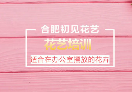 现代办公空间绿植配置指南