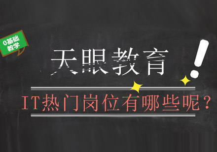 IT行业高薪职位深度解析与职业发展指南