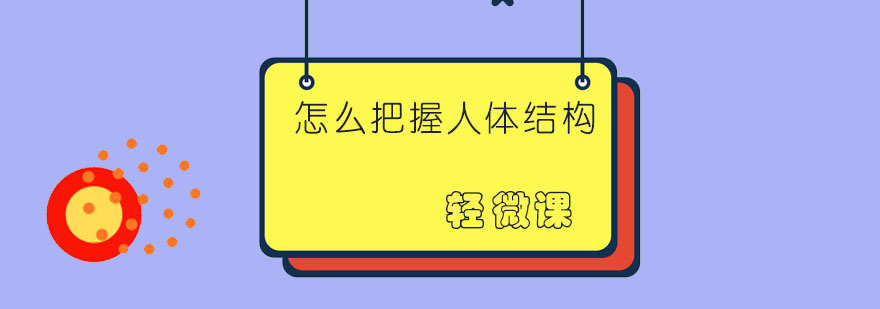 人体结构教学
