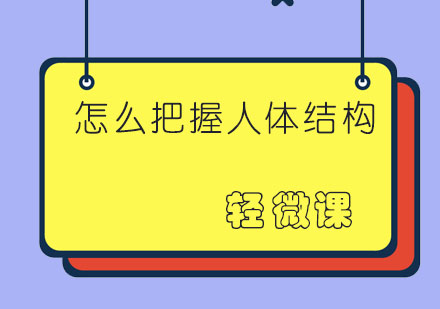 怎么把握人体结构？