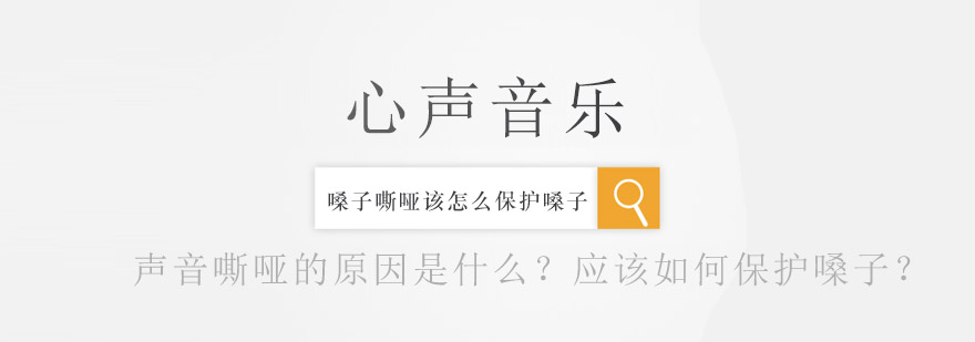声乐训练体系图解