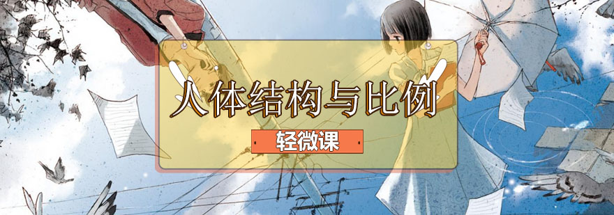 人体结构教学示意图