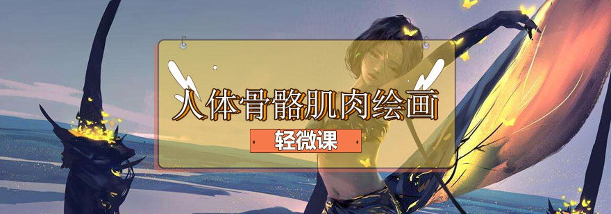 人体骨骼肌肉教学图示