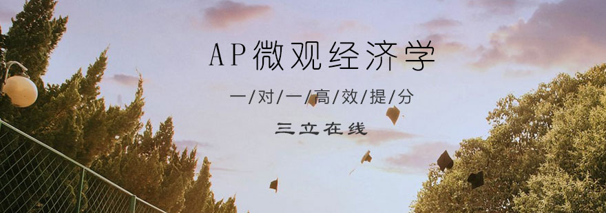 AP微观经济学培训课程