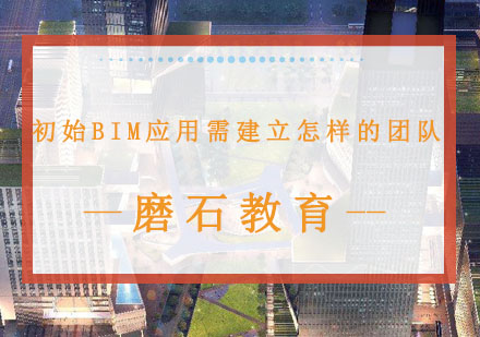 初始BIM应用需建立怎样的团队