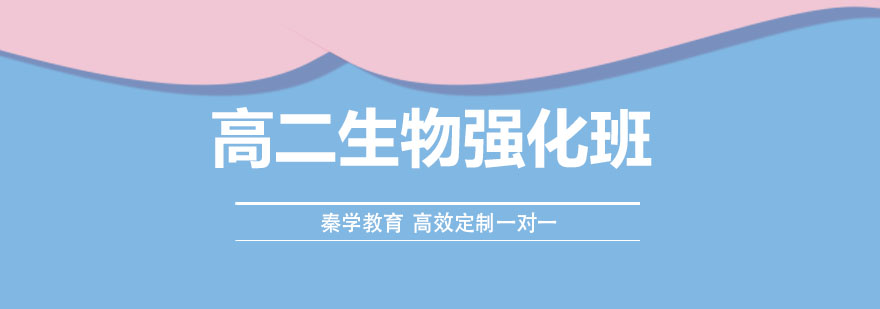生物实验教学场景
