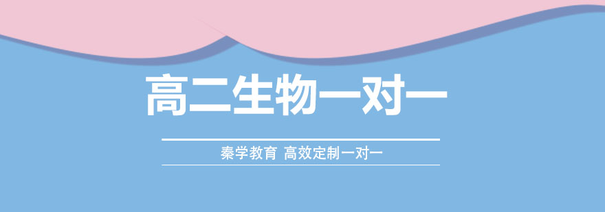 生物知识结构图解