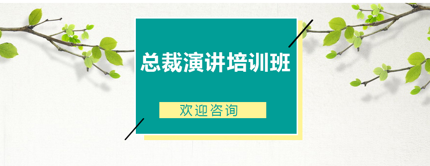 企业高管演讲力提升