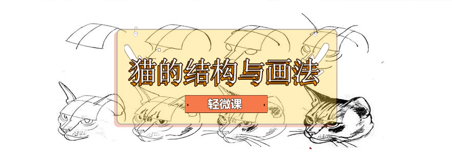 人体动态绘制教学示范