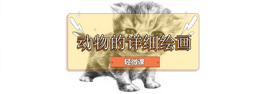 动物绘画教学