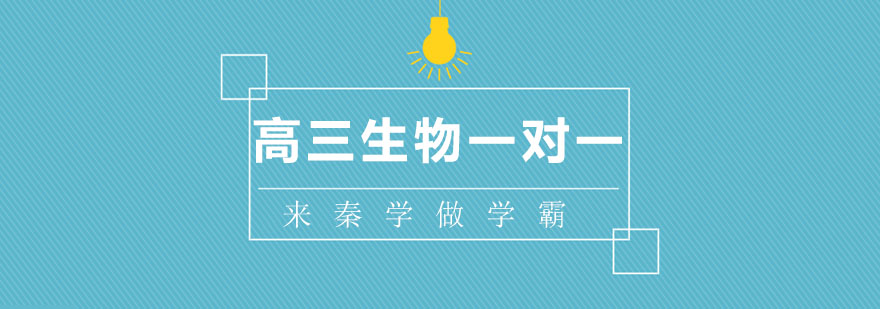 生物实验教学实拍