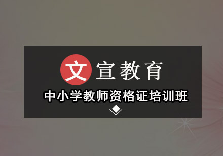 广州中小学教师资格证培训班