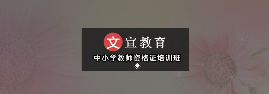 广州中小学教师资格证培训班