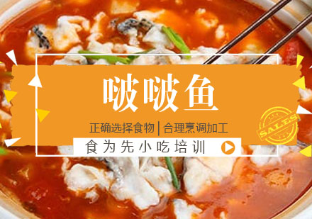 啵啵鱼培训