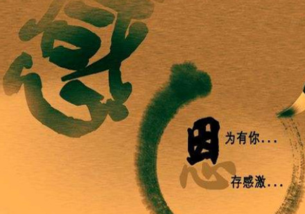 大立教育建工培训课程深度解析