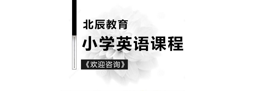 个性化英语辅导
