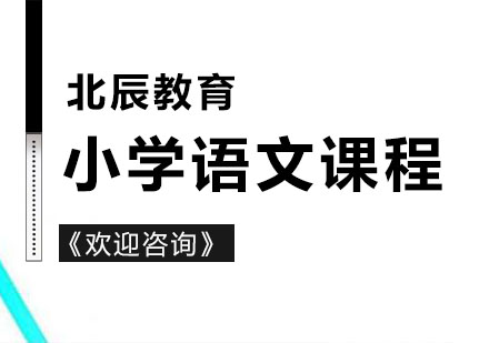 徐州小学一对一语文课程