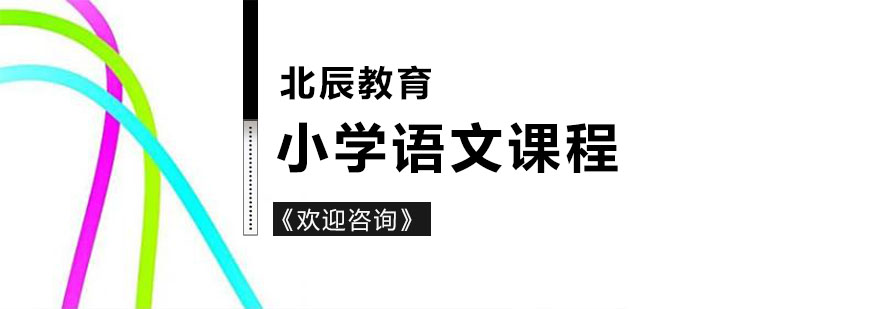 徐州小学一对一语文课程