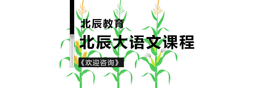 大语文课堂实景