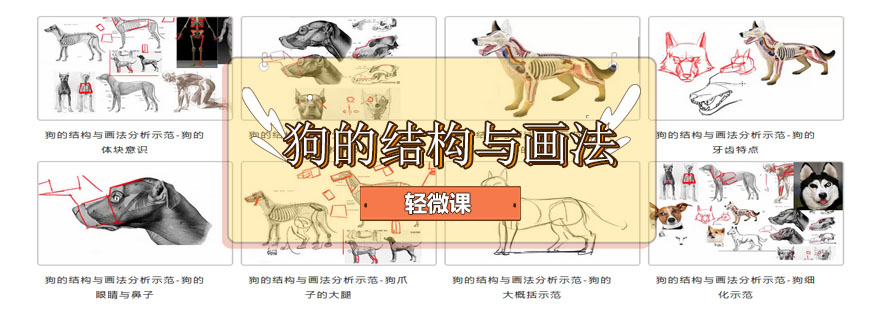 人体动态绘制示意图