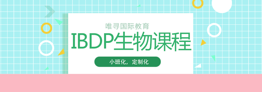 唯寻国际教育