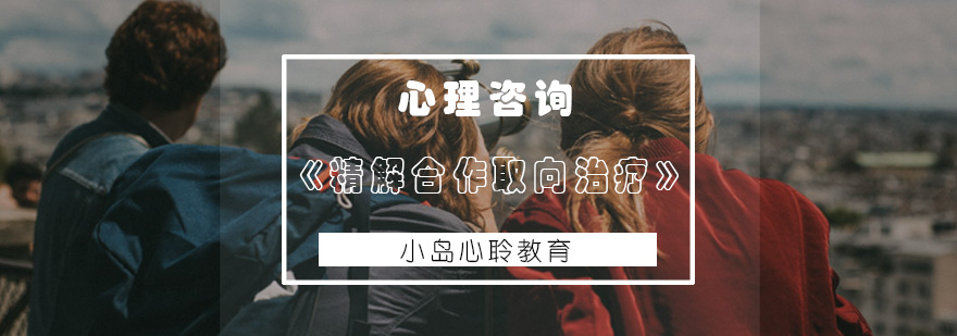 合作取向治疗课程主图