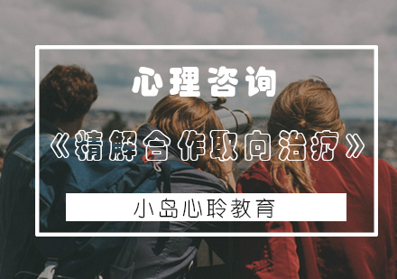 《精解合作取向治疗》